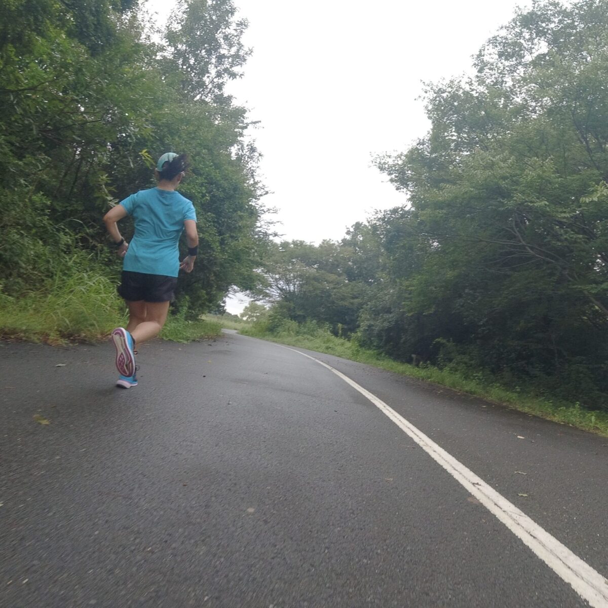 はじめてのところ