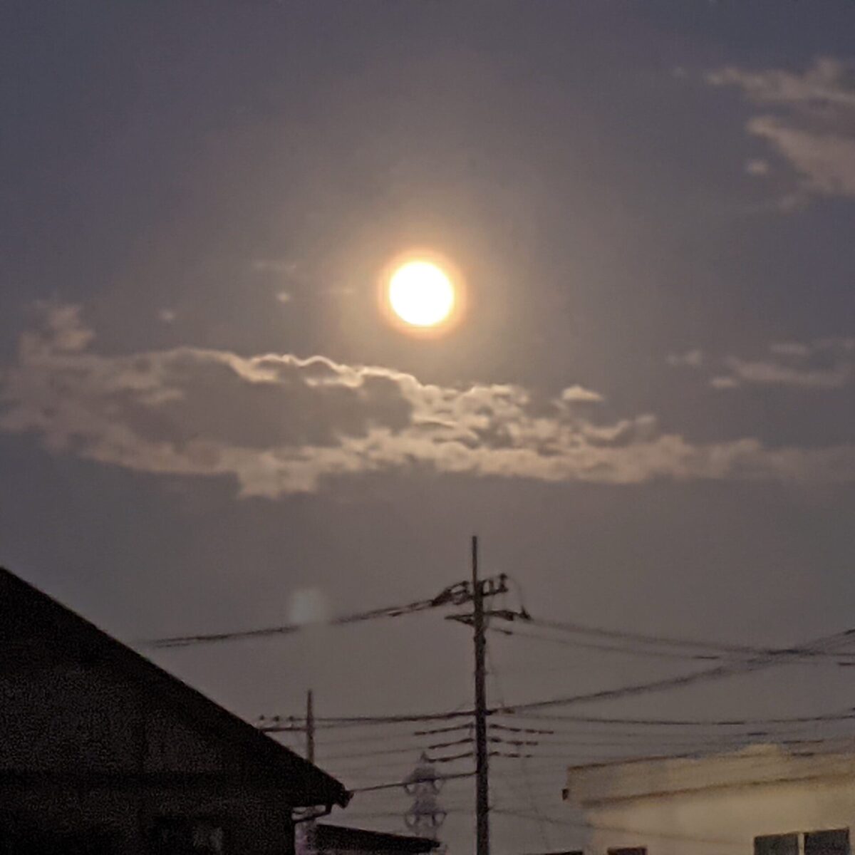 ホンキにならない ホンキにならない