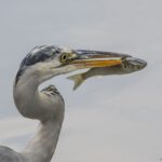 強制夏休み 強制夏休み